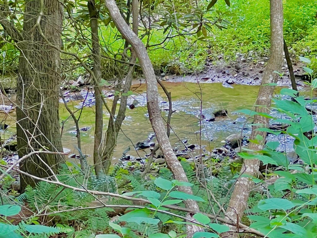 Lot 4 Lower Fox Trail, Blairsville GA 30512 - Photo