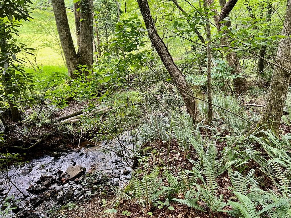 Lot 4 Lower Fox Trail, Blairsville GA 30512 - Primary photo