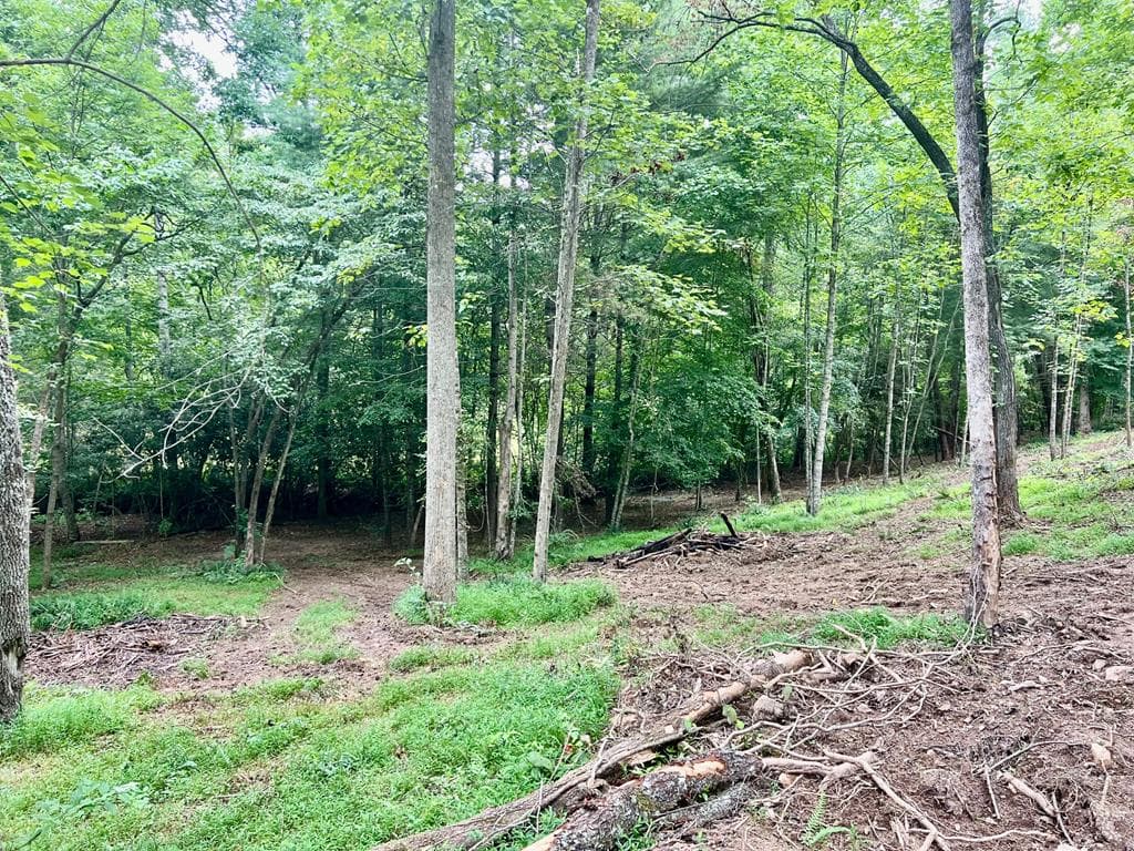 Lot 4 Lower Fox Trail, Blairsville GA 30512 - Photo