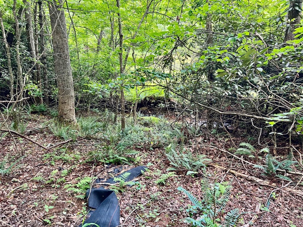 Lot 4 Lower Fox Trail, Blairsville GA 30512 - Photo