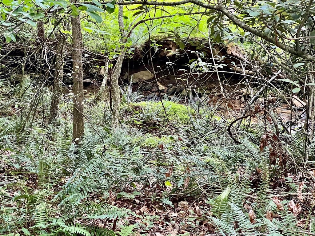 Lot 4 Lower Fox Trail, Blairsville GA 30512 - Photo