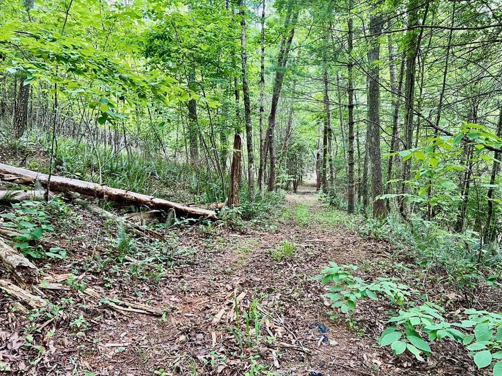 Lot 4 Lower Fox Trail, Blairsville GA 30512 - Photo