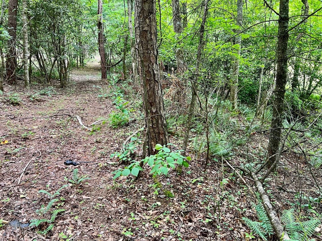 Lot 4 Lower Fox Trail, Blairsville GA 30512 - Photo