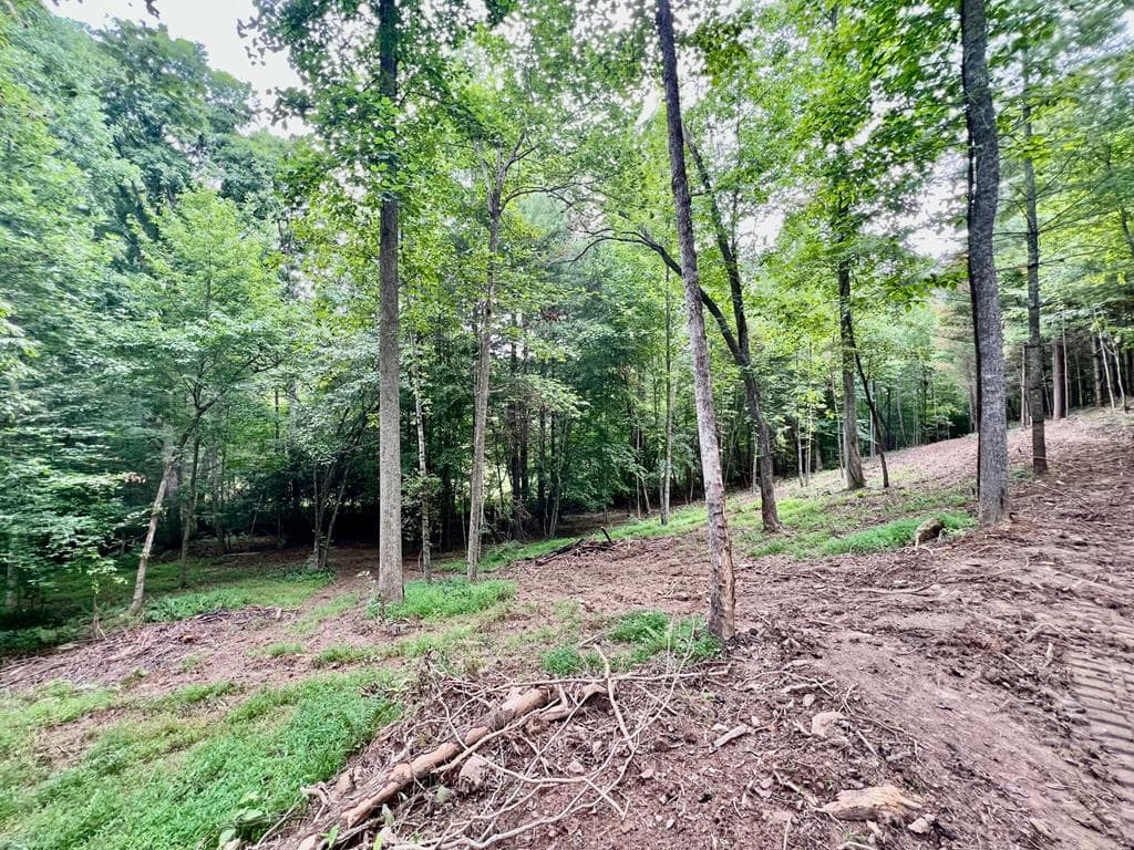 Lot 4 Lower Fox Trail, Blairsville GA 30512 - Photo