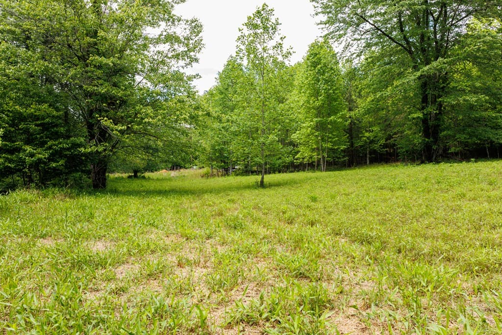 0 Galloway Road, Blue Ridge GA 30513 - Photo