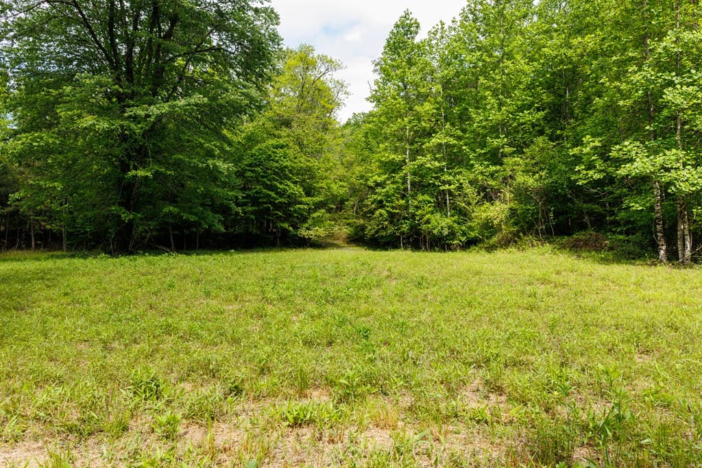 0 Galloway Road, Blue Ridge GA 30513 - Photo