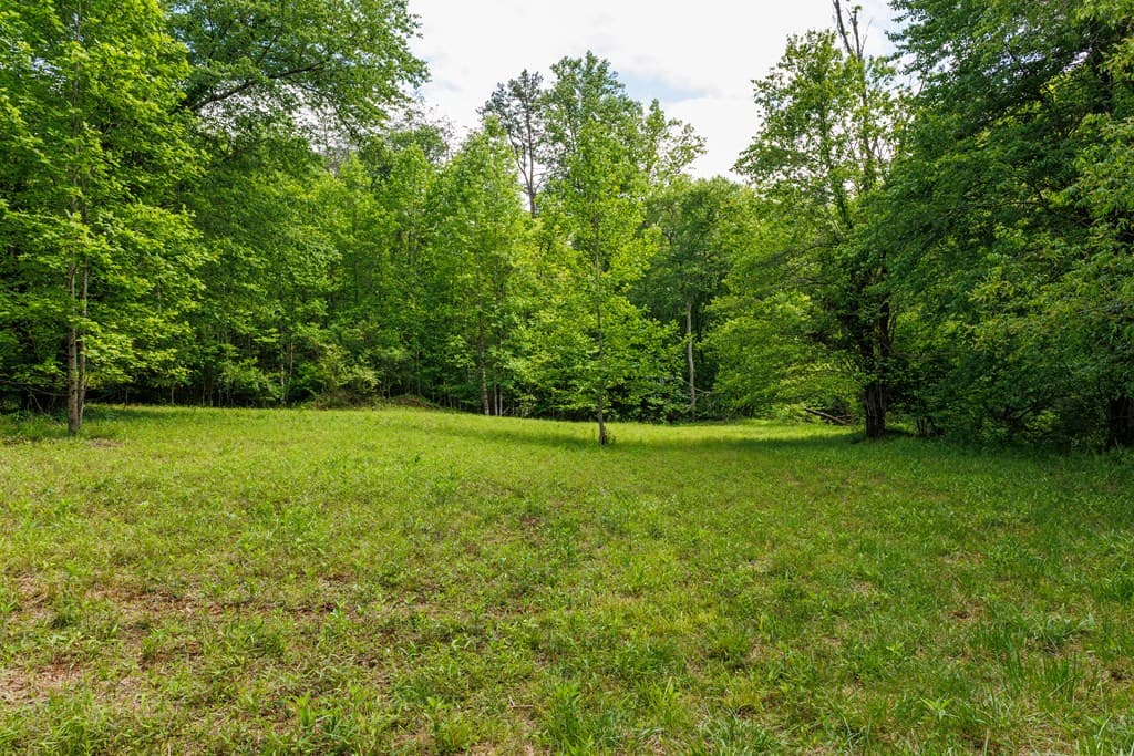 0 Galloway Road, Blue Ridge GA 30513 - Photo