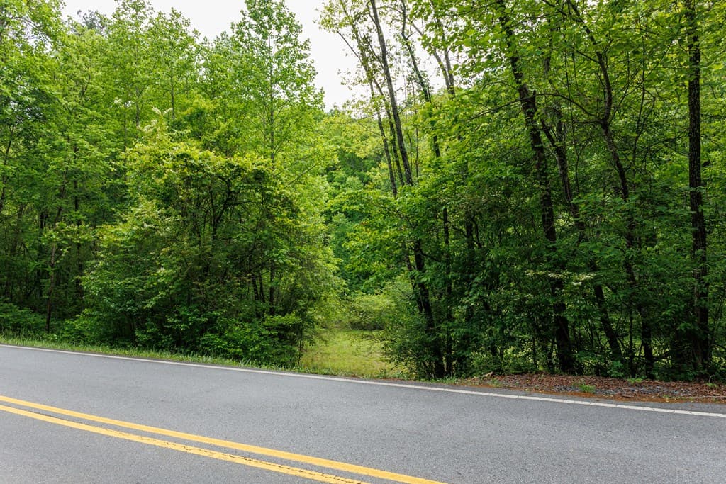 0 Galloway Road, Blue Ridge GA 30513 - Photo