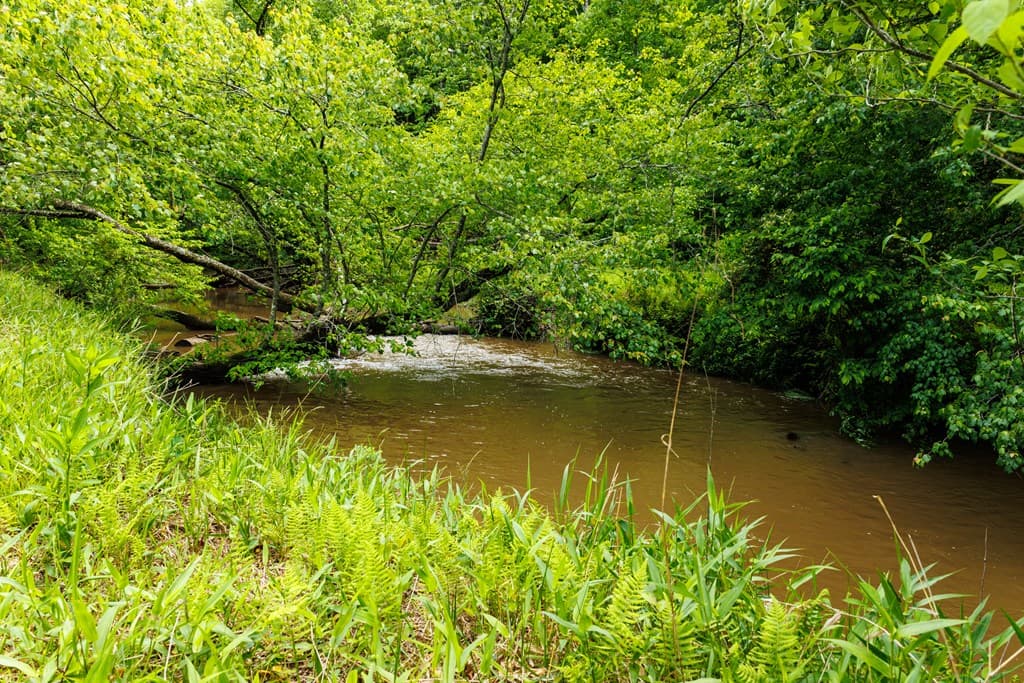 0 Galloway Road, Blue Ridge GA 30513 - Photo