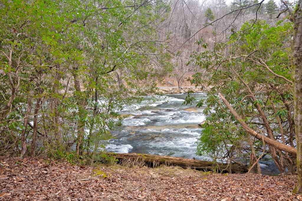 8 acres Brunton Circle, Ellijay GA 30540 - Photo