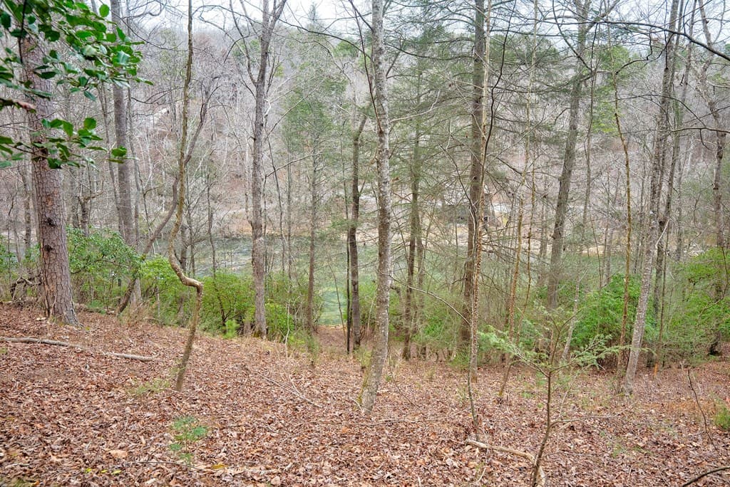8 acres Brunton Circle, Ellijay GA 30540 - Photo