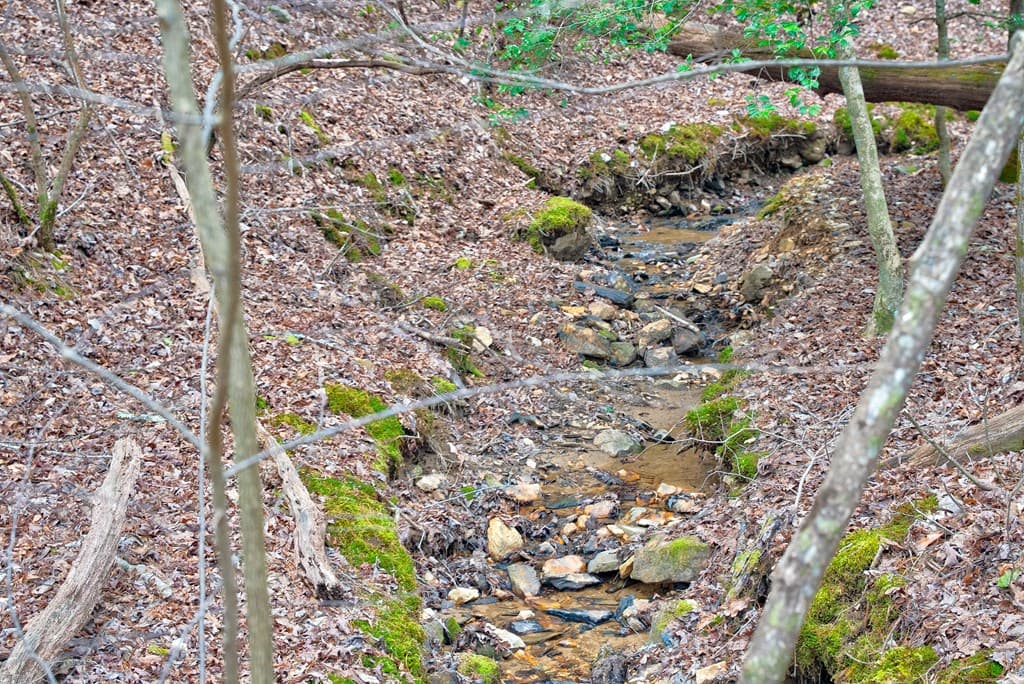 8 acres Brunton Circle, Ellijay GA 30540 - Photo