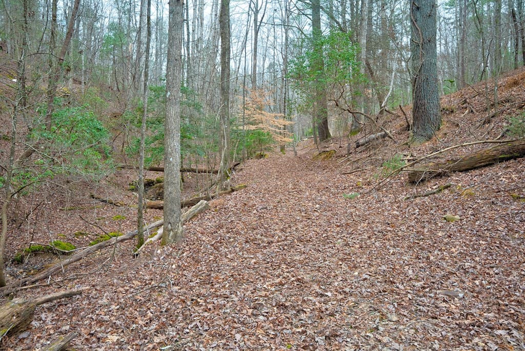 8 acres Brunton Circle, Ellijay GA 30540 - Photo