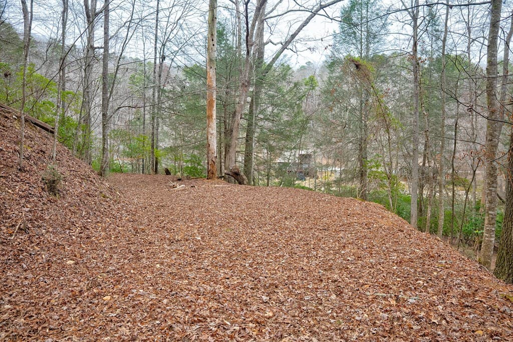 8 acres Brunton Circle, Ellijay GA 30540 - Photo