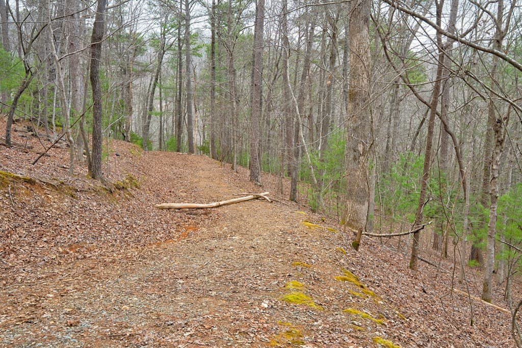 8 acres Brunton Circle, Ellijay GA 30540 - Photo
