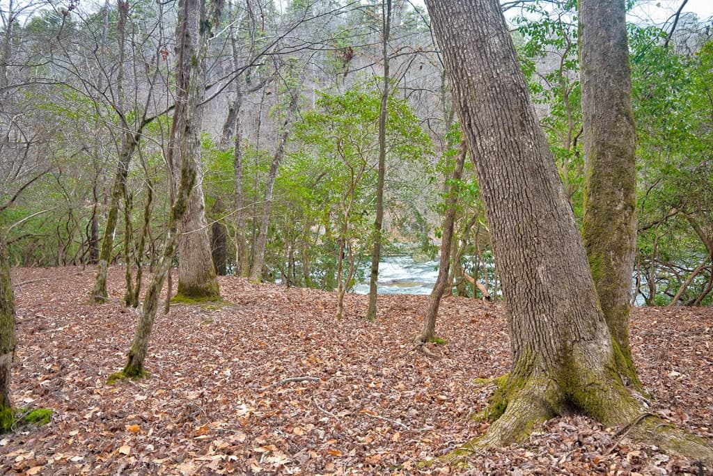 8 acres Brunton Circle, Ellijay GA 30540 - Photo