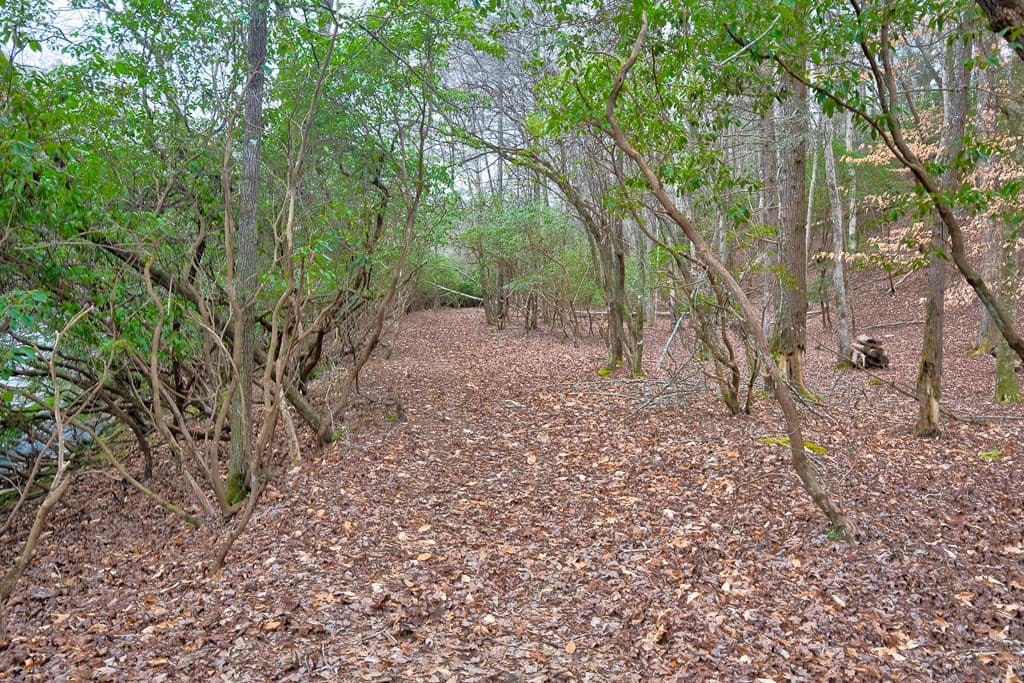 8 acres Brunton Circle, Ellijay GA 30540 - Photo