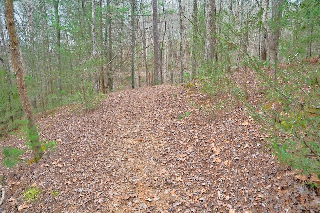 8 acres Brunton Circle, Ellijay GA 30540 - Photo