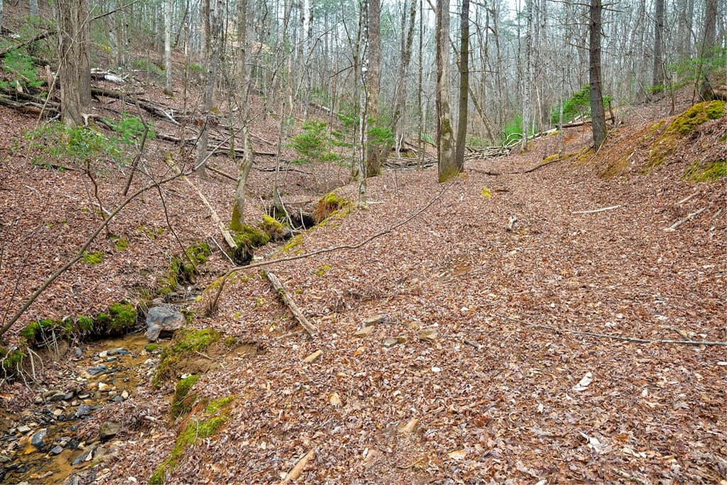 8 acres Brunton Circle, Ellijay GA 30540 - Photo