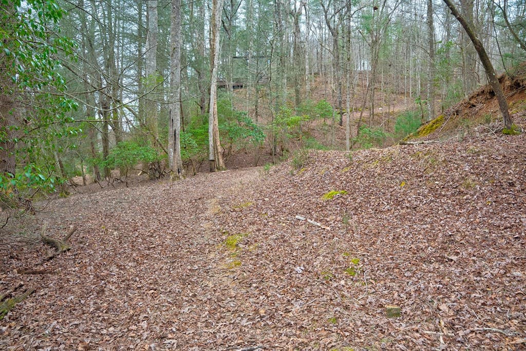 8 acres Brunton Circle, Ellijay GA 30540 - Photo