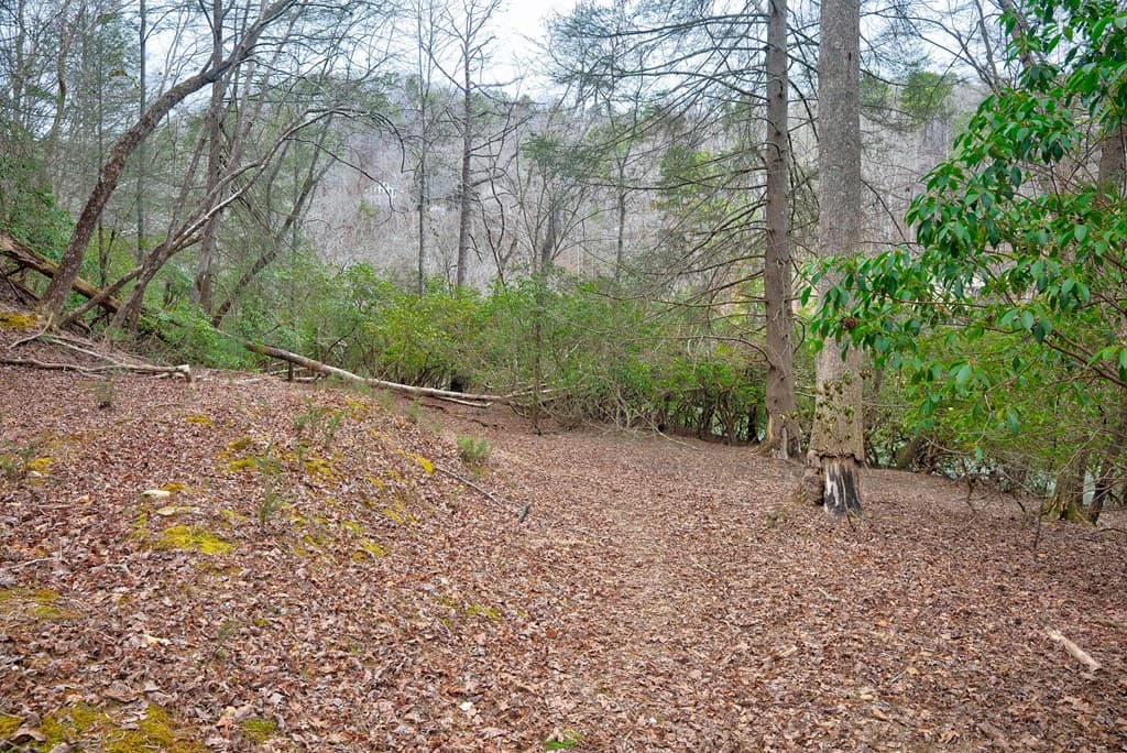 8 acres Brunton Circle, Ellijay GA 30540 - Photo