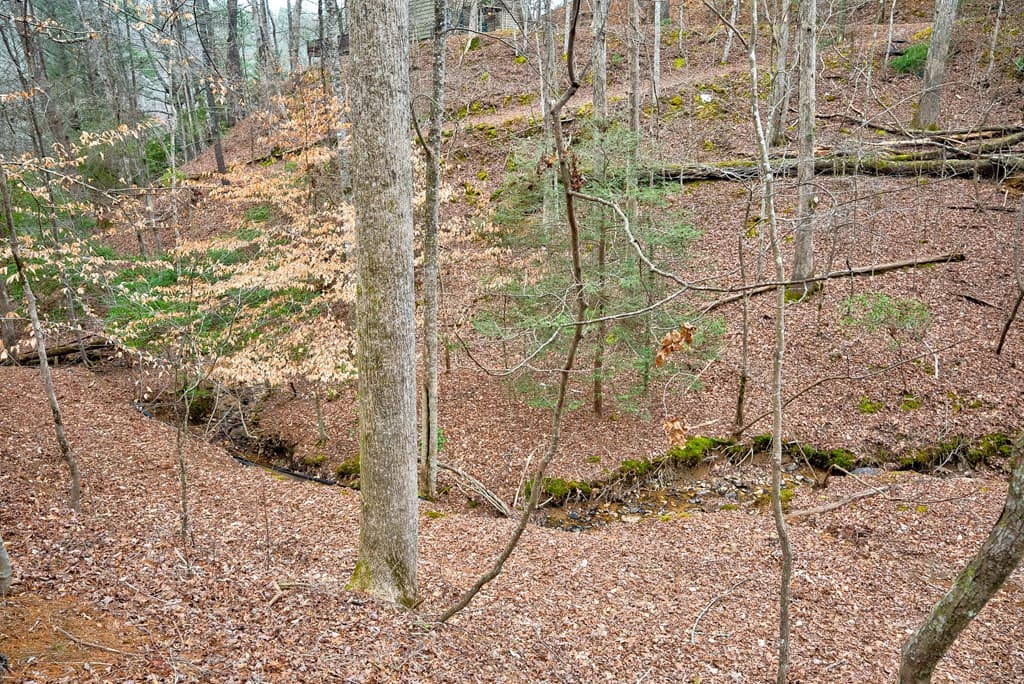 8 acres Brunton Circle, Ellijay GA 30540 - Photo