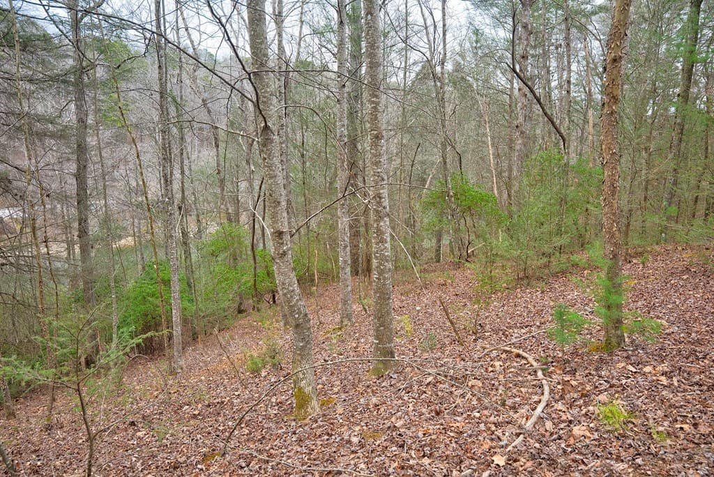 8 acres Brunton Circle, Ellijay GA 30540 - Photo