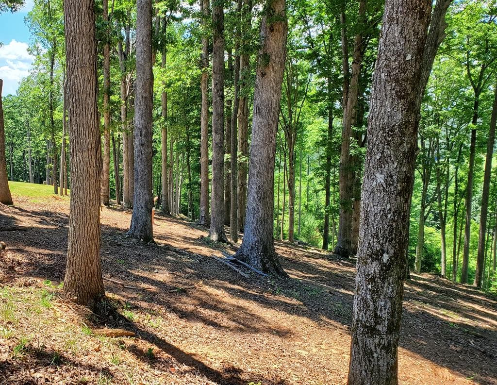 Lot 140 Highland Park, Blairsville GA 30512 - Photo