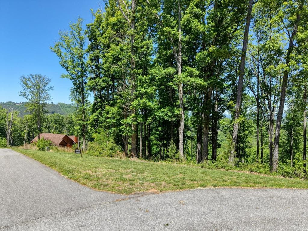 Lot 140 Highland Park, Blairsville GA 30512 - Photo