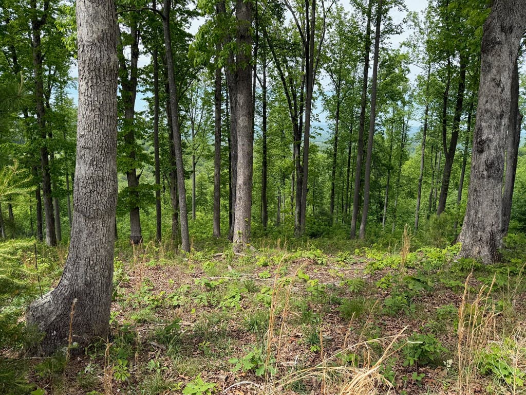 Lot 140 Highland Park, Blairsville GA 30512 - Photo