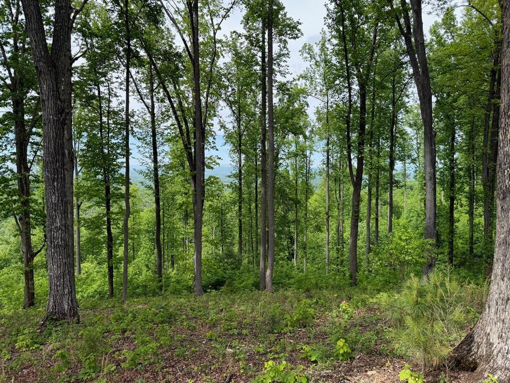 Lot 140 Highland Park, Blairsville GA 30512 - Photo