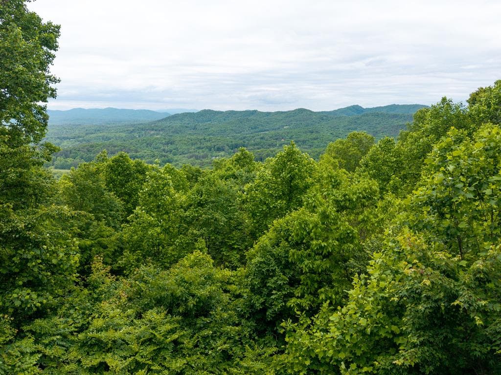 219 Lakeview Dr, Hayesville NC 28904 - Photo