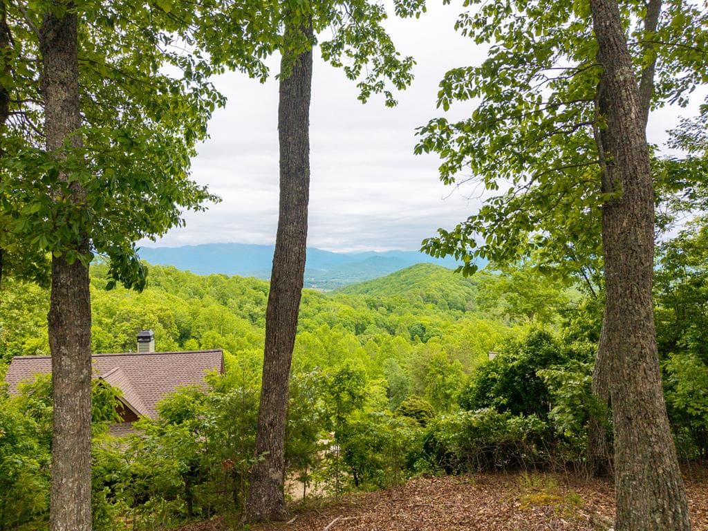 219 Lakeview Dr, Hayesville NC 28904 - Photo