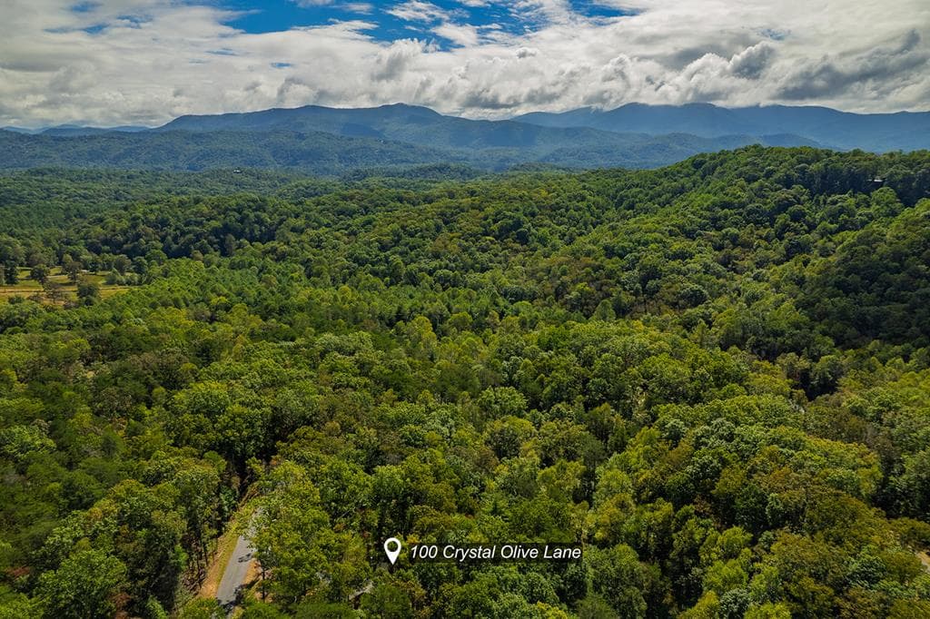 100 Crystal Oliver Lane, Blue Ridge GA 30513 - Photo