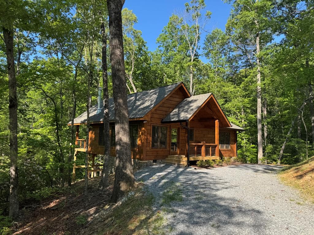 100 Crystal Oliver Lane, Blue Ridge GA 30513 - Photo