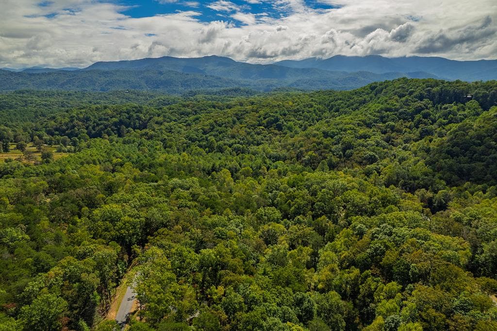 100 Crystal Oliver Lane, Blue Ridge GA 30513 - Photo
