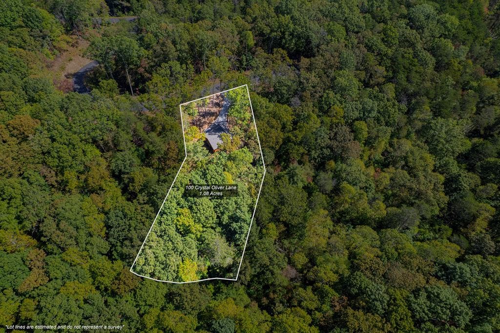 100 Crystal Oliver Lane, Blue Ridge GA 30513 - Photo