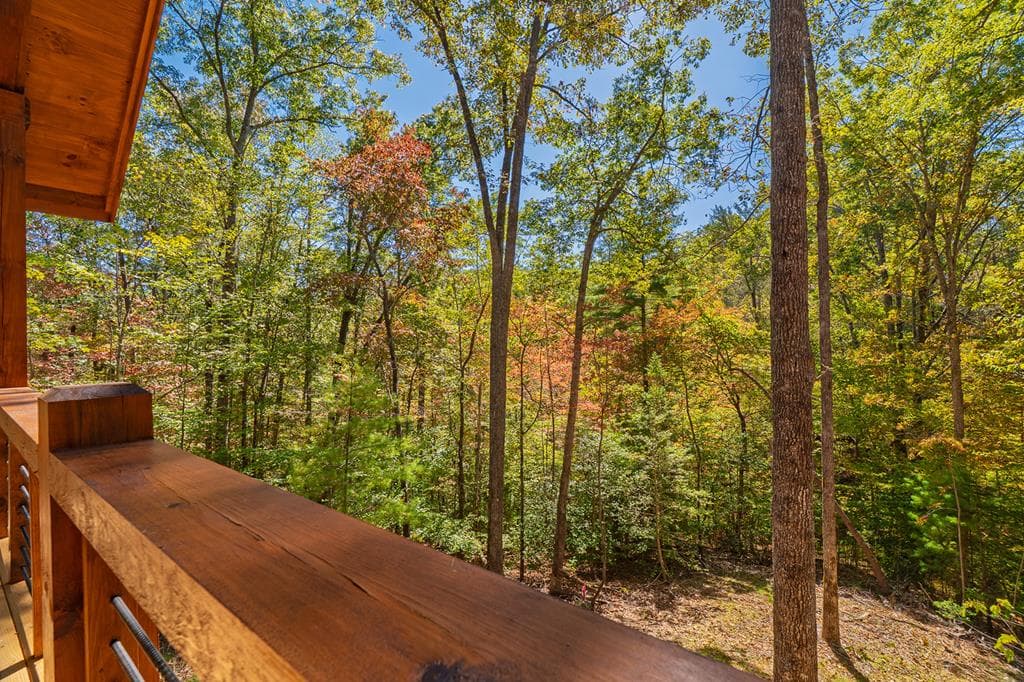 100 Crystal Oliver Lane, Blue Ridge GA 30513 - Photo