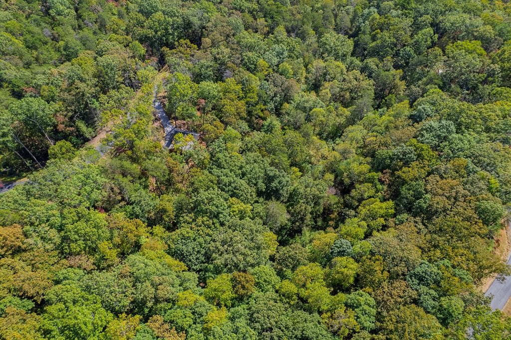 100 Crystal Oliver Lane, Blue Ridge GA 30513 - Photo