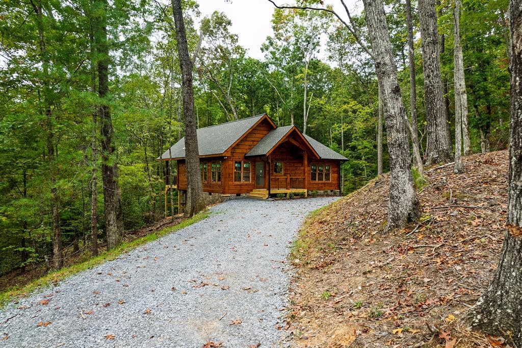 100 Crystal Oliver Lane, Blue Ridge GA 30513 - Photo