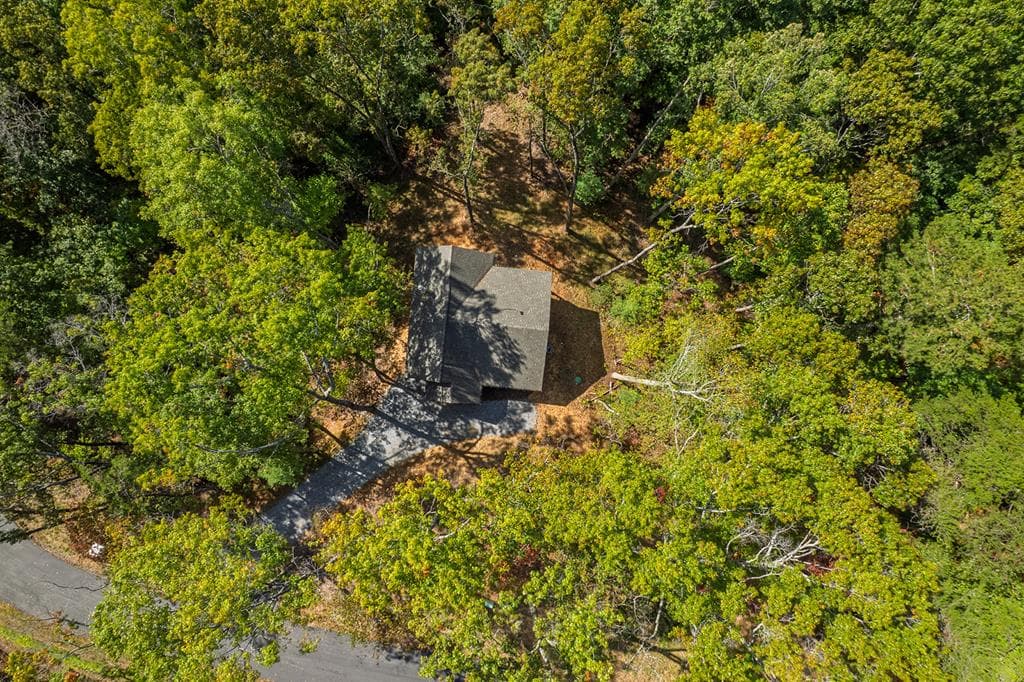 100 Crystal Oliver Lane, Blue Ridge GA 30513 - Photo
