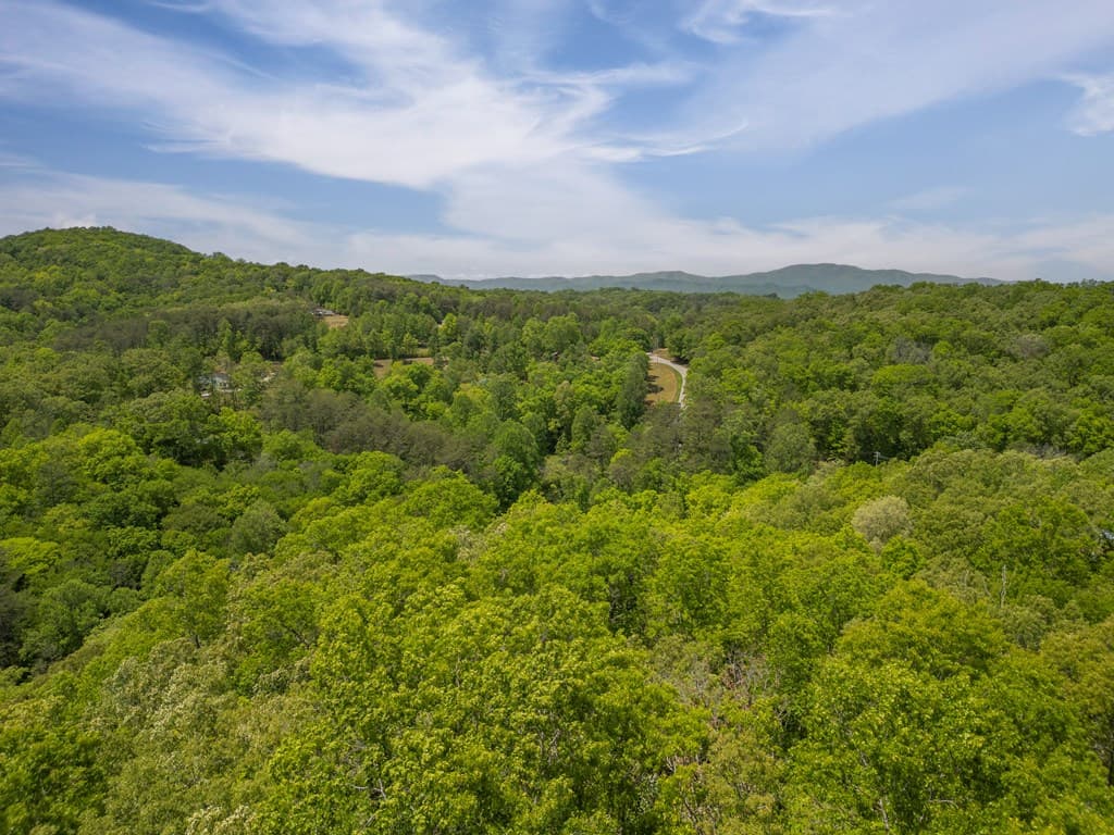2.90Acre Galloway Road, Blue Ridge GA 30513 - Photo
