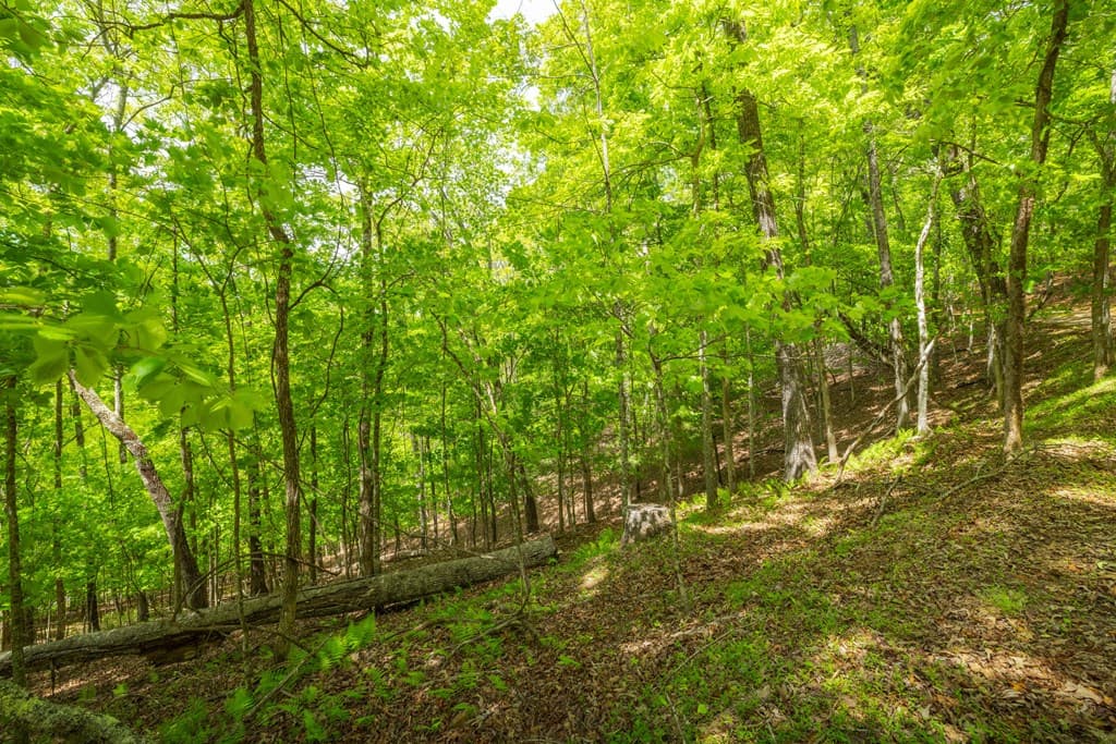 2.90Acre Galloway Road, Blue Ridge GA 30513 - Photo