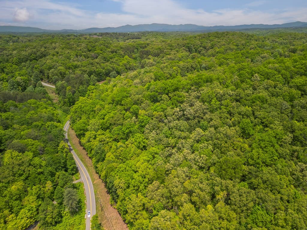 2.90Acre Galloway Road, Blue Ridge GA 30513 - Photo