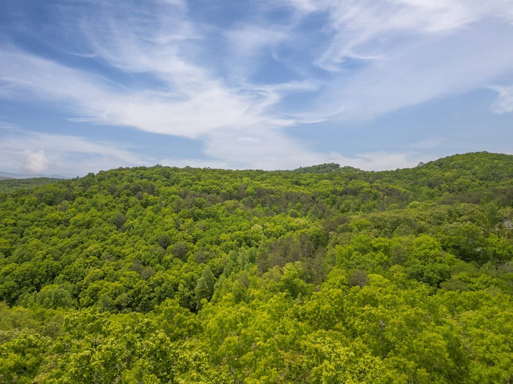 2.90Acre Galloway Road, Blue Ridge GA 30513 - Photo