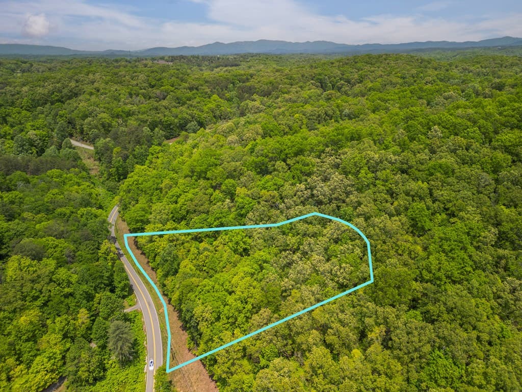 2.90Acre Galloway Road, Blue Ridge GA 30513 - Photo