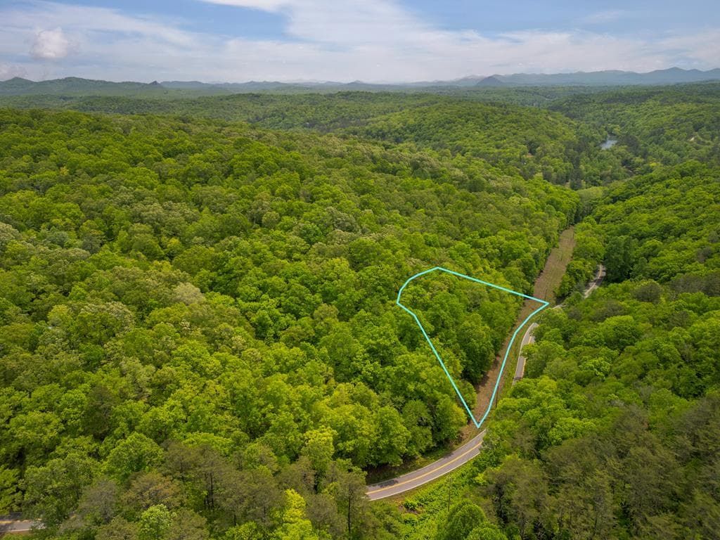 2.90Acre Galloway Road, Blue Ridge GA 30513 - Primary photo
