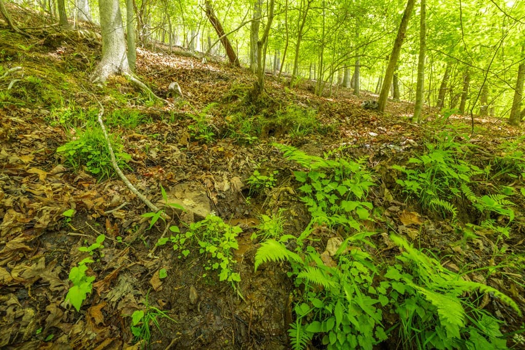 2.90Acre Galloway Road, Blue Ridge GA 30513 - Photo