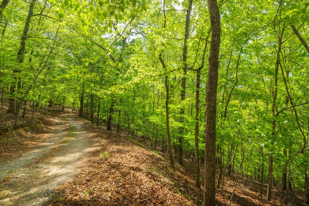 2.90Acre Galloway Road, Blue Ridge GA 30513 - Photo