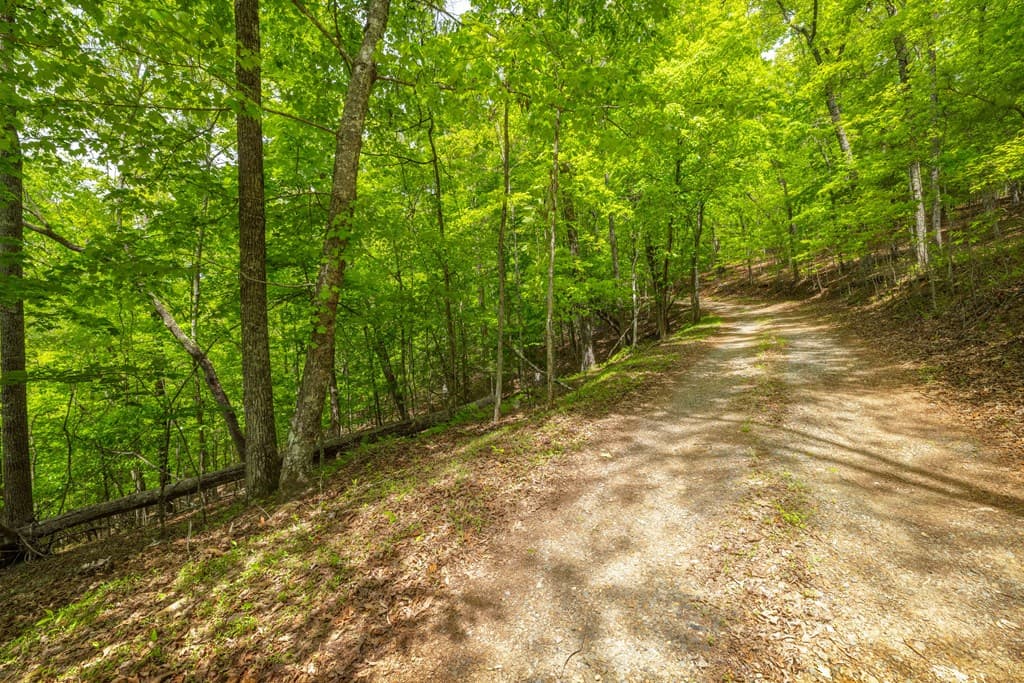 2.90Acre Galloway Road, Blue Ridge GA 30513 - Photo
